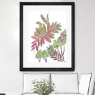 Mimosa - Magenta - 13 by Lori Dubois on GIANT ART - pink botanical leaves