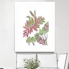 Mimosa - Magenta - 13 by Lori Dubois on GIANT ART - pink botanical leaves