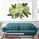 Fresh Bouquet - Lavender-1 by Lori Dubois on GIANT ART - beige floral lilas