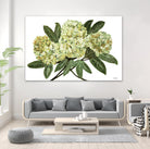 Fresh Bouquet - Lavender-1 by Lori Dubois on GIANT ART - beige floral lilas