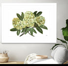 Fresh Bouquet - Lavender-1 by Lori Dubois on GIANT ART - beige floral lilas