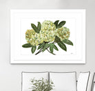Fresh Bouquet - Lavender-1 by Lori Dubois on GIANT ART - beige floral lilas