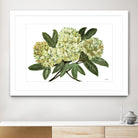 Fresh Bouquet - Lavender-1 by Lori Dubois on GIANT ART - beige floral lilas