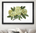 Fresh Bouquet - Lavender-1 by Lori Dubois on GIANT ART - beige floral lilas