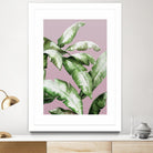 Palm of the Hand II by Daleno Art on GIANT ART - pink botanical nature