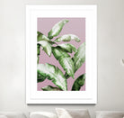 Palm of the Hand II by Daleno Art on GIANT ART - pink botanical nature