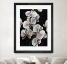Dream of Dior I by Daleno Art on GIANT ART - orange abstract abstrait