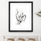 Swan by Alexis Marcou on GIANT ART - black contemporary