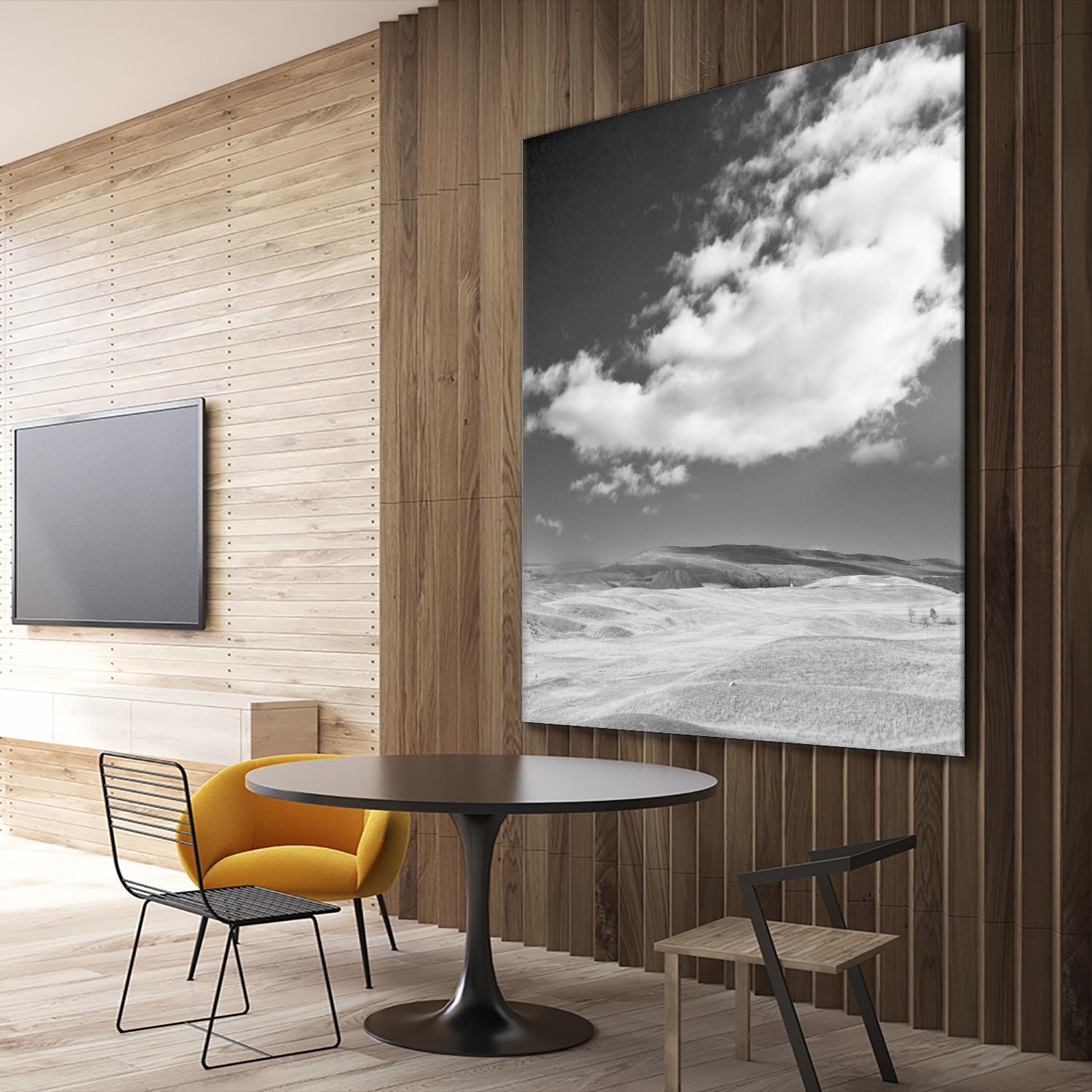 Field with Clouds by Jamie Cook on GIANT ART - white landscape