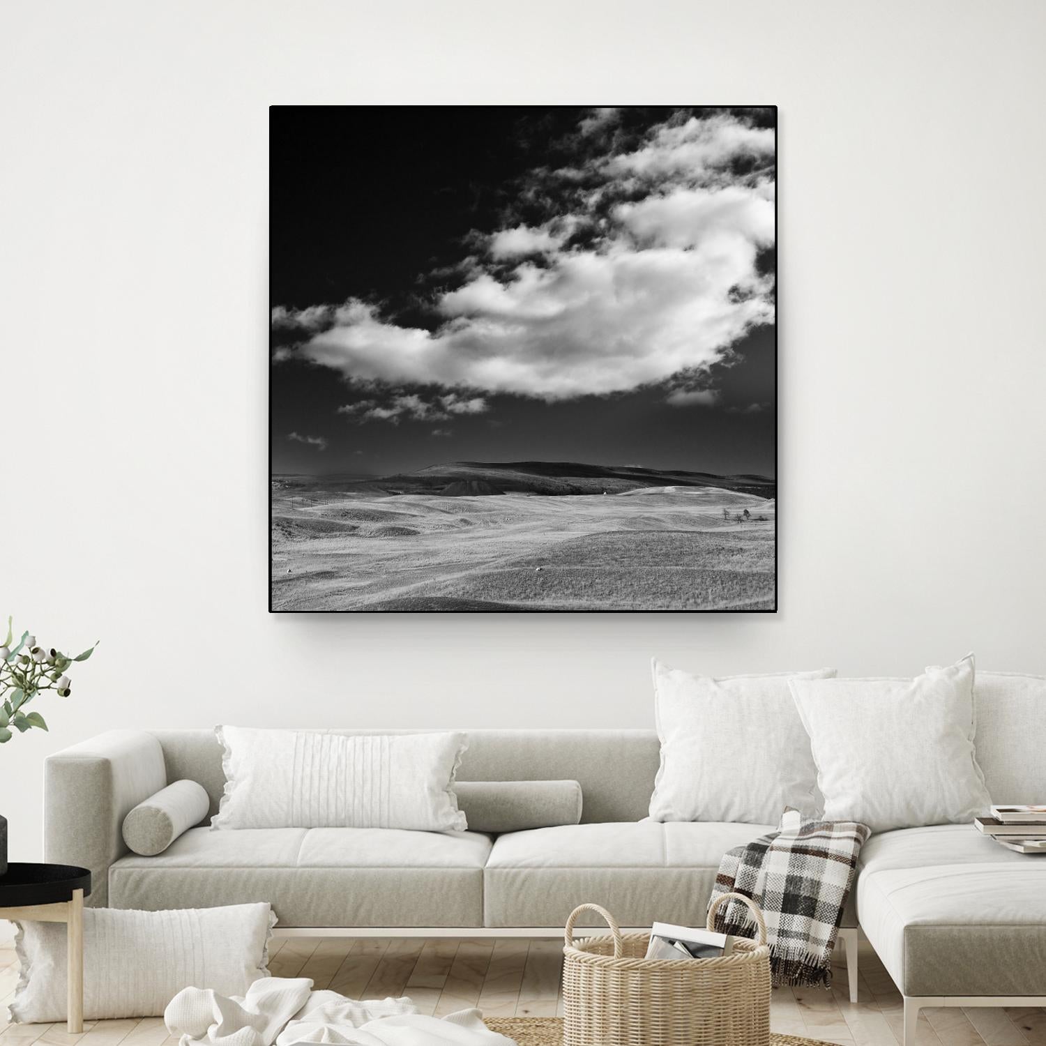 Field with Clouds by Jamie Cook on GIANT ART - white landscape