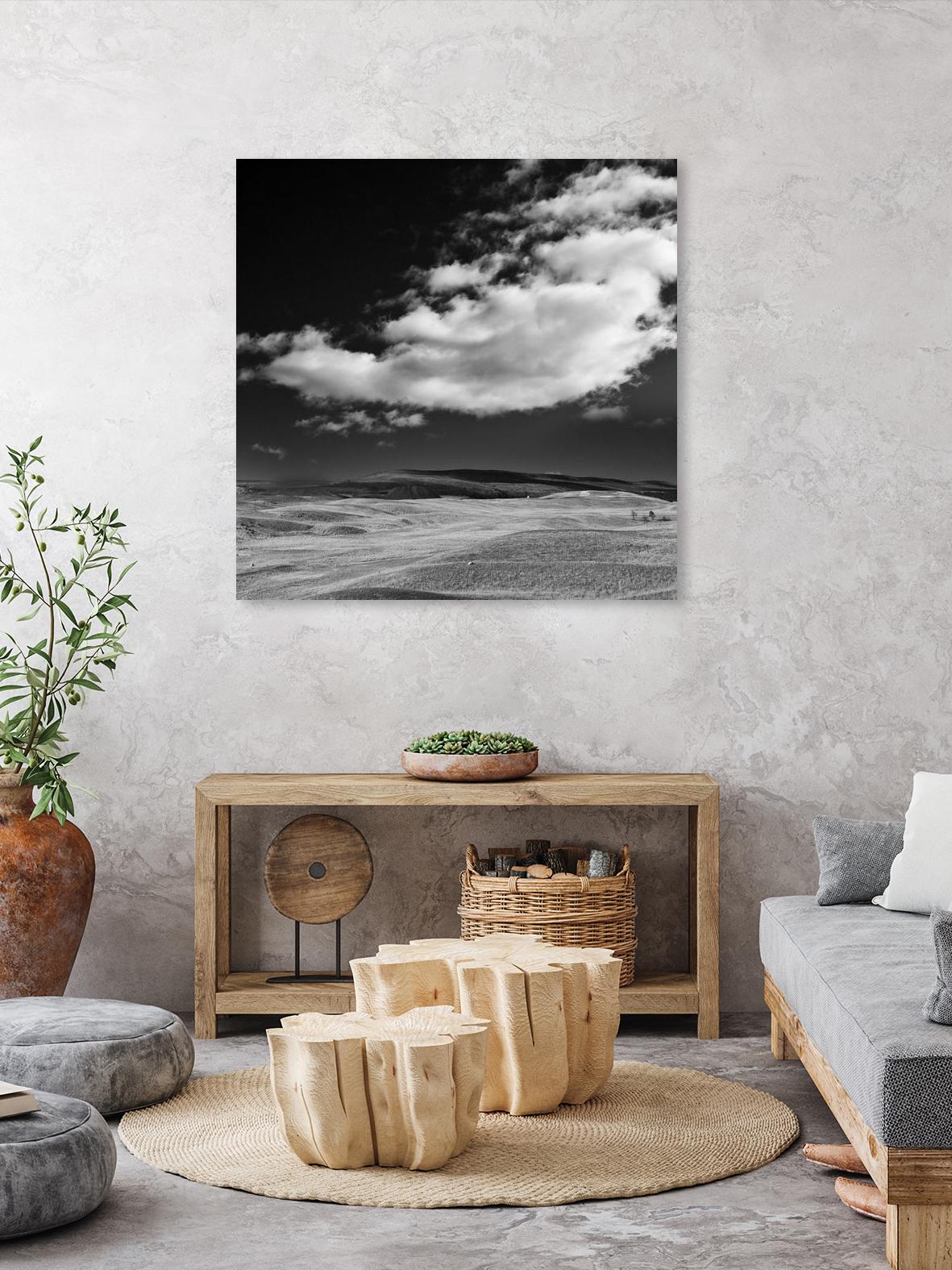Field with Clouds by Jamie Cook on GIANT ART - white landscape