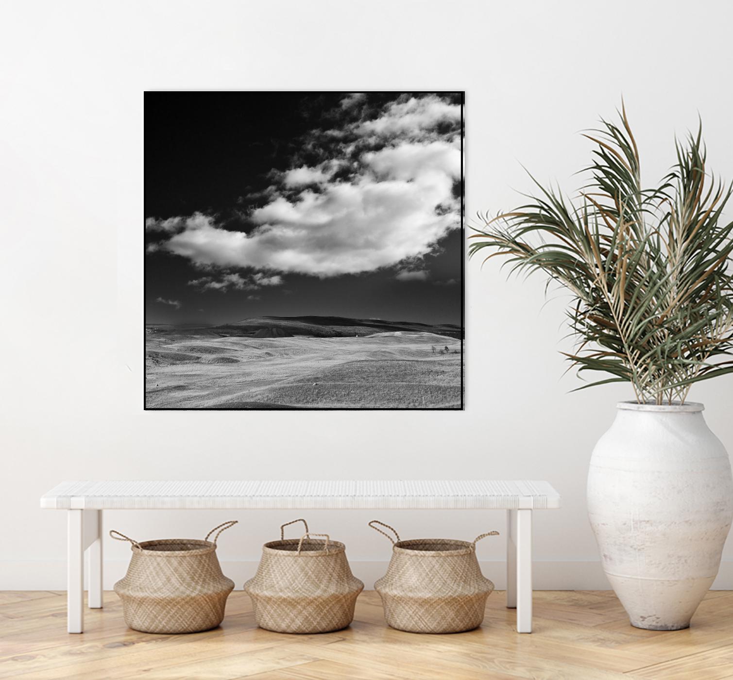 Field with Clouds by Jamie Cook on GIANT ART - white landscape