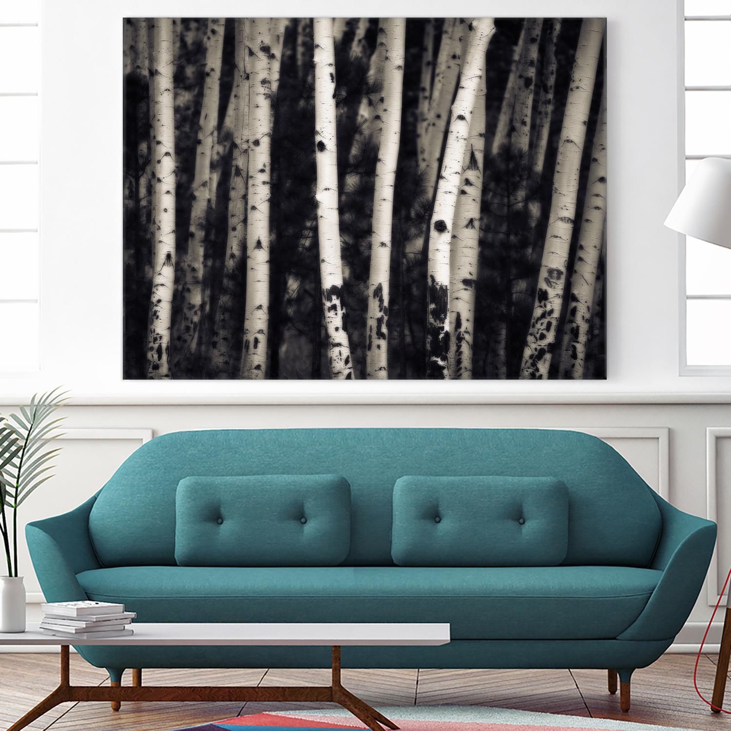 Birch Trees by Jamie Cook on GIANT ART - black landscape