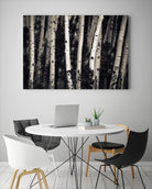 Birch Trees by Jamie Cook on GIANT ART - black landscape