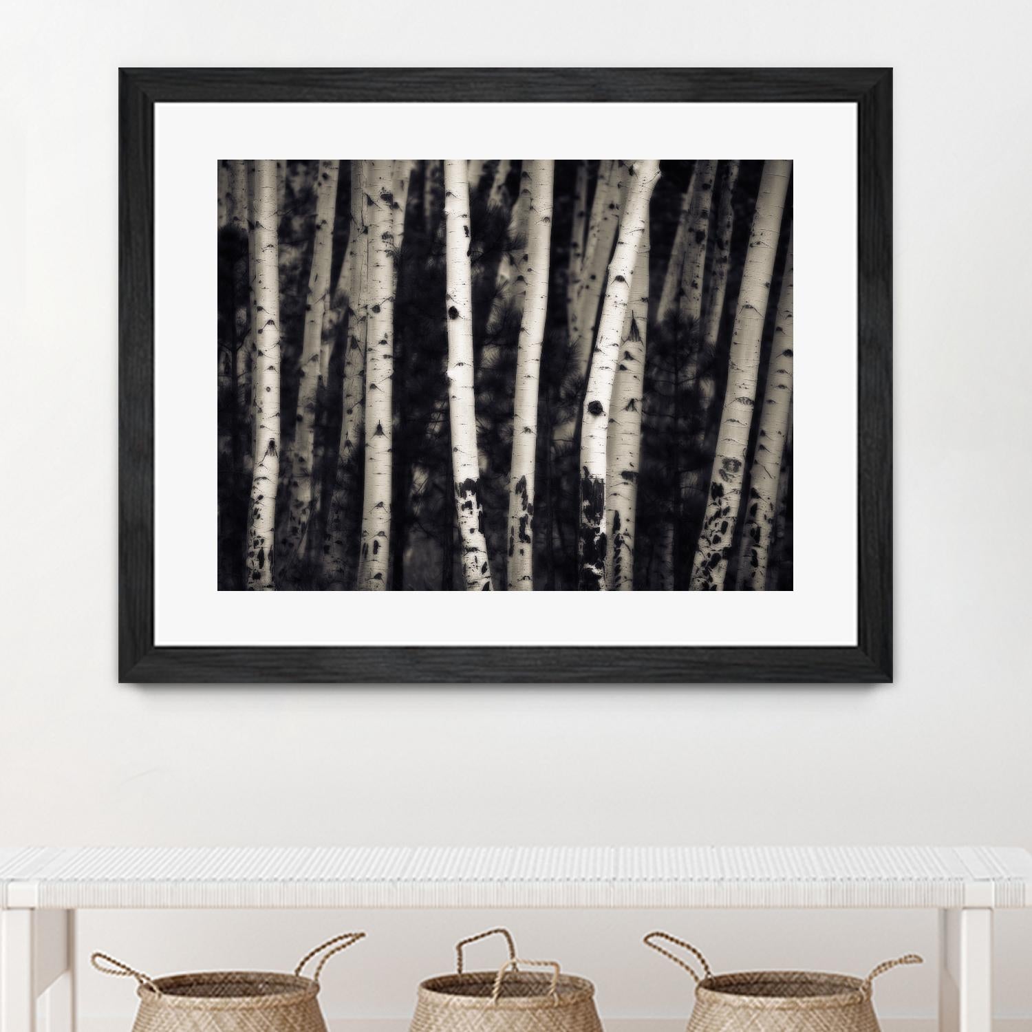 Birch Trees by Jamie Cook on GIANT ART - black landscape