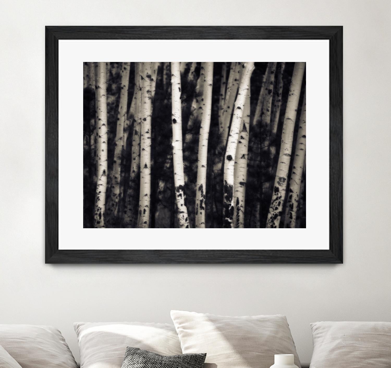 Birch Trees by Jamie Cook on GIANT ART - black landscape