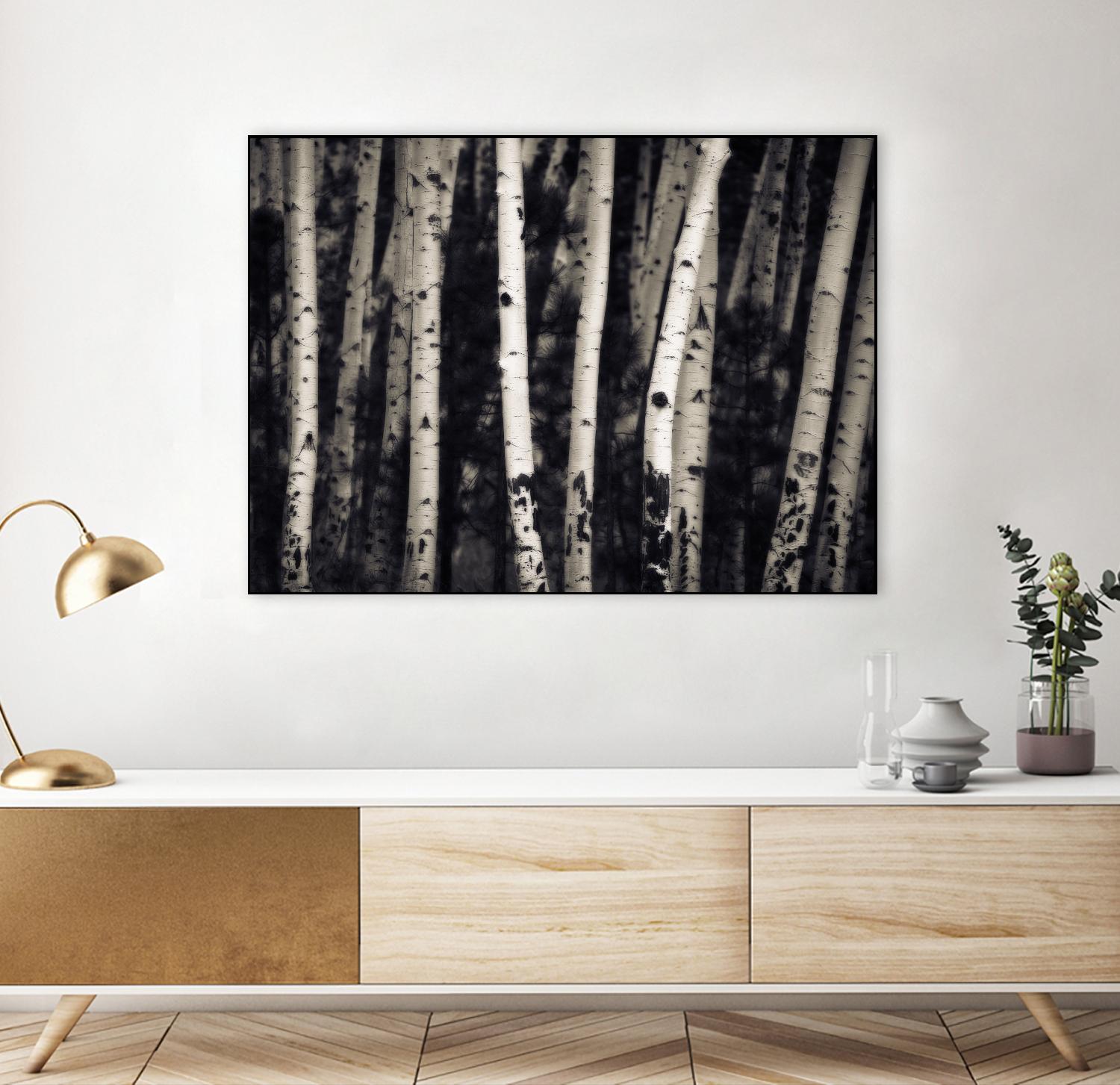 Birch Trees by Jamie Cook on GIANT ART - black landscape