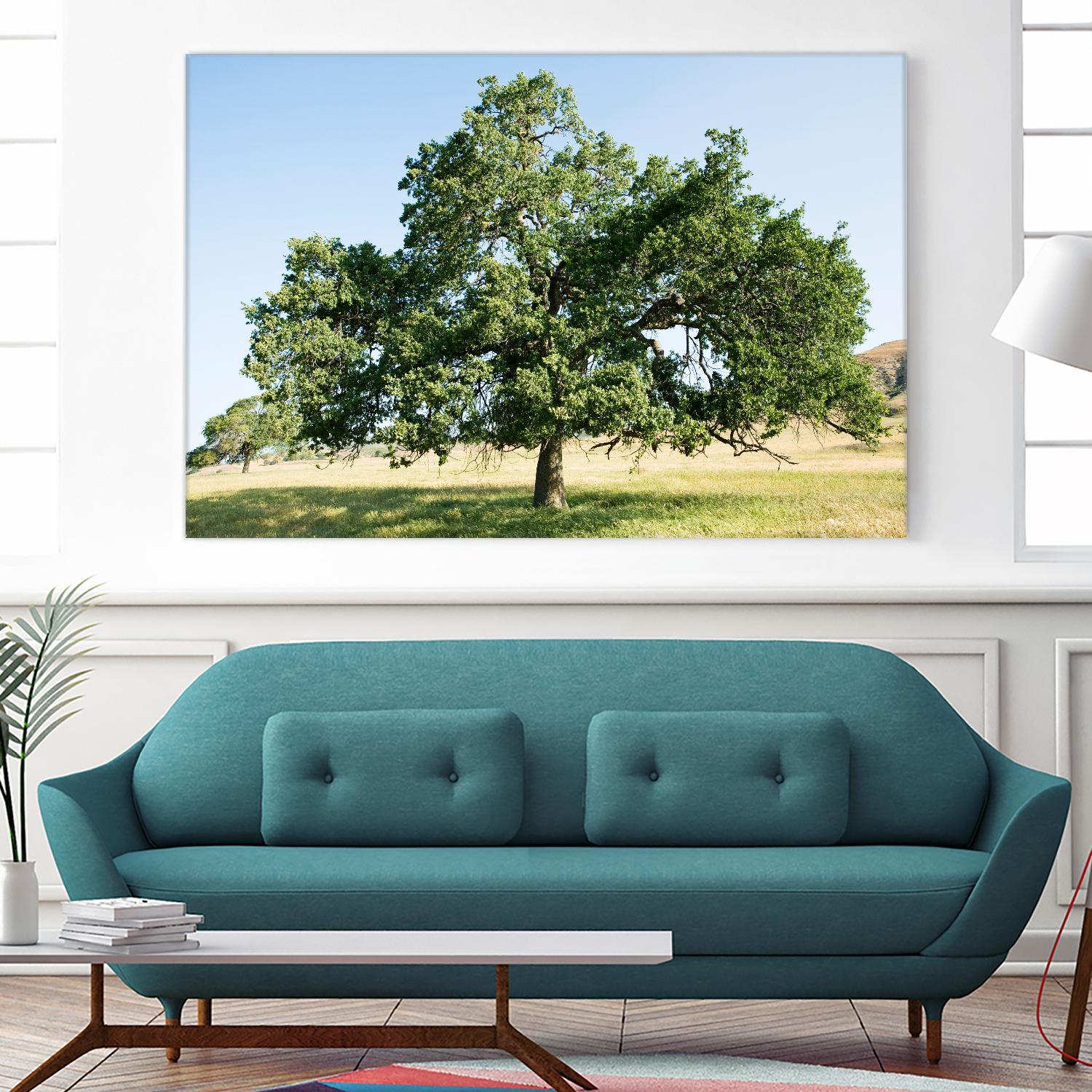 Strength by Acer Images on GIANT ART - blue trees