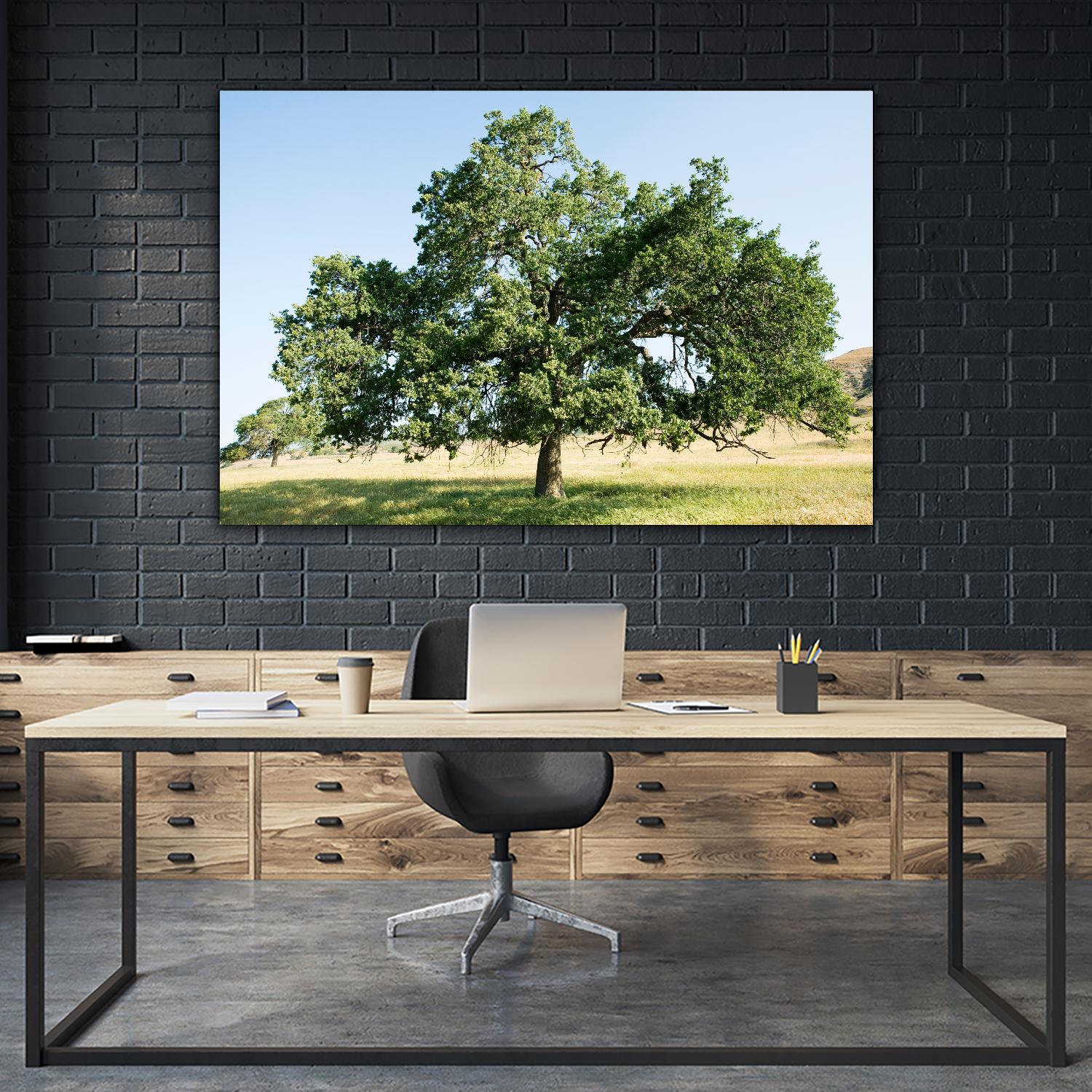 Strength by Acer Images on GIANT ART - blue trees