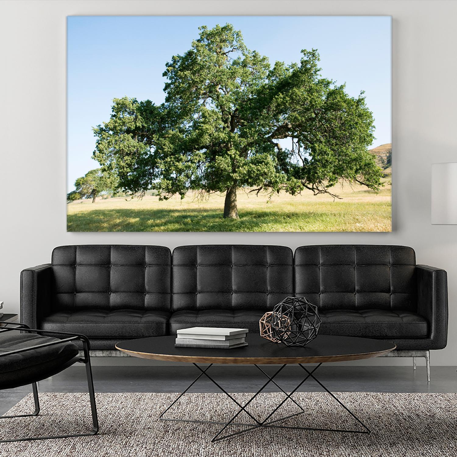 Strength by Acer Images on GIANT ART - blue trees