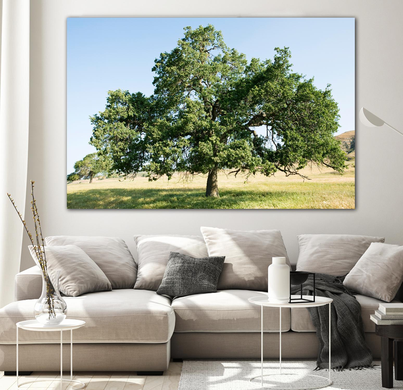 Strength by Acer Images on GIANT ART - blue trees