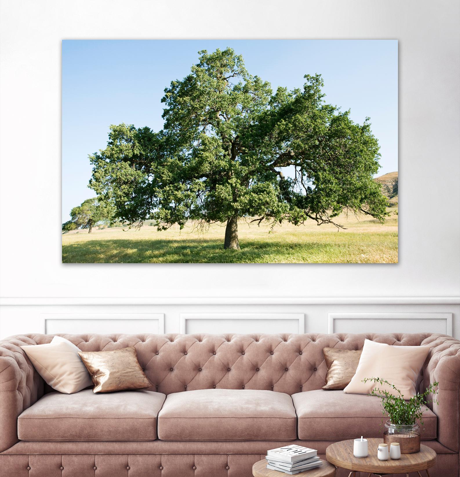 Strength by Acer Images on GIANT ART - blue trees