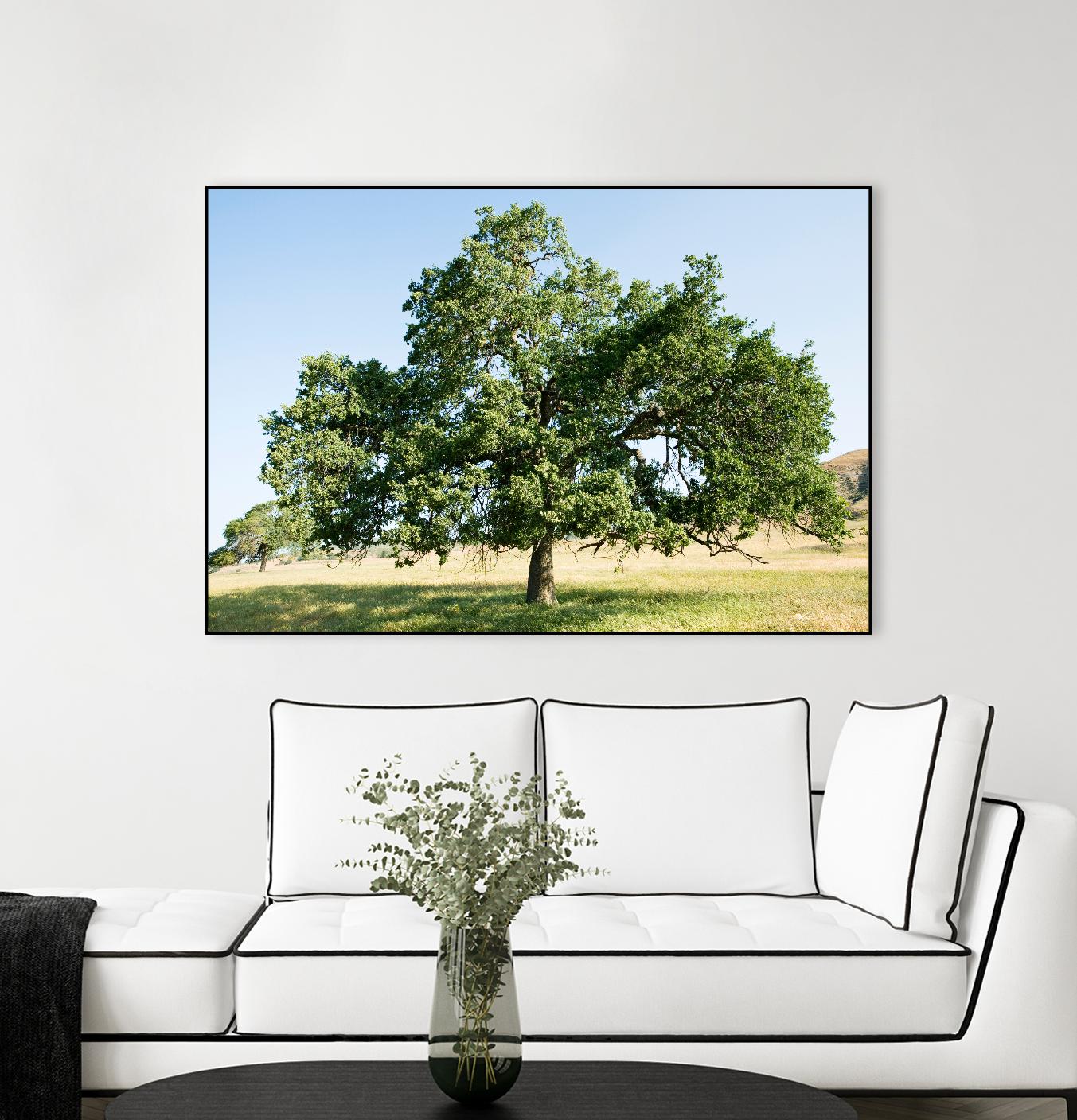 Strength by Acer Images on GIANT ART - blue trees