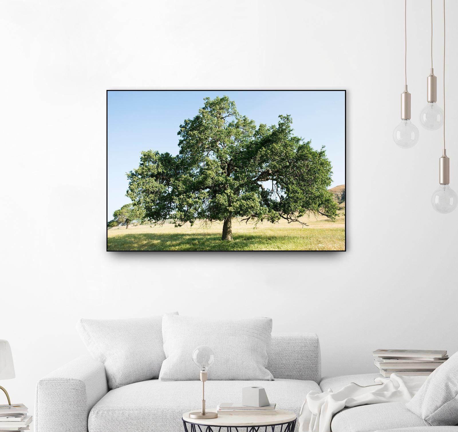 Strength by Acer Images on GIANT ART - blue trees