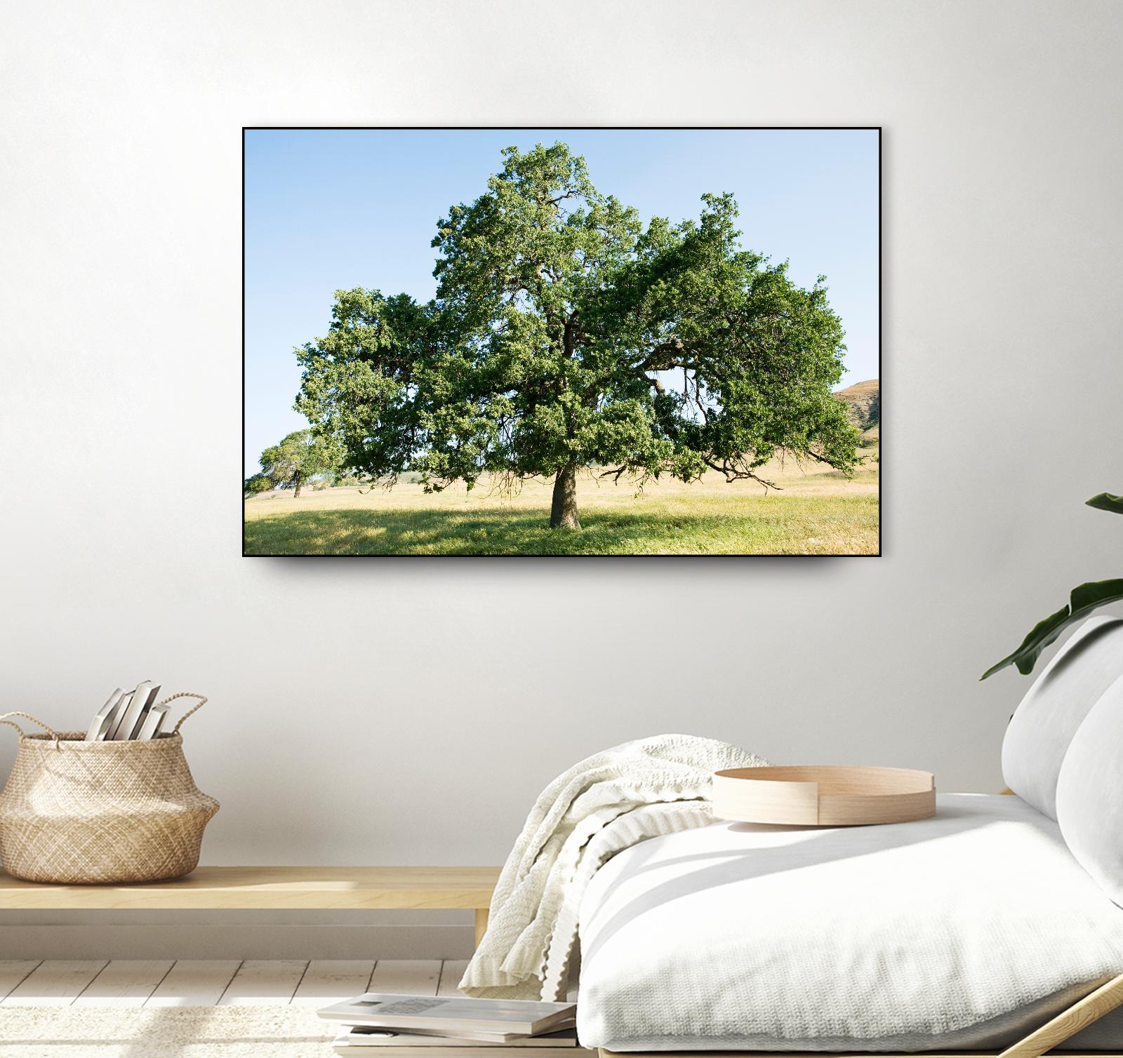 Strength by Acer Images on GIANT ART - blue trees