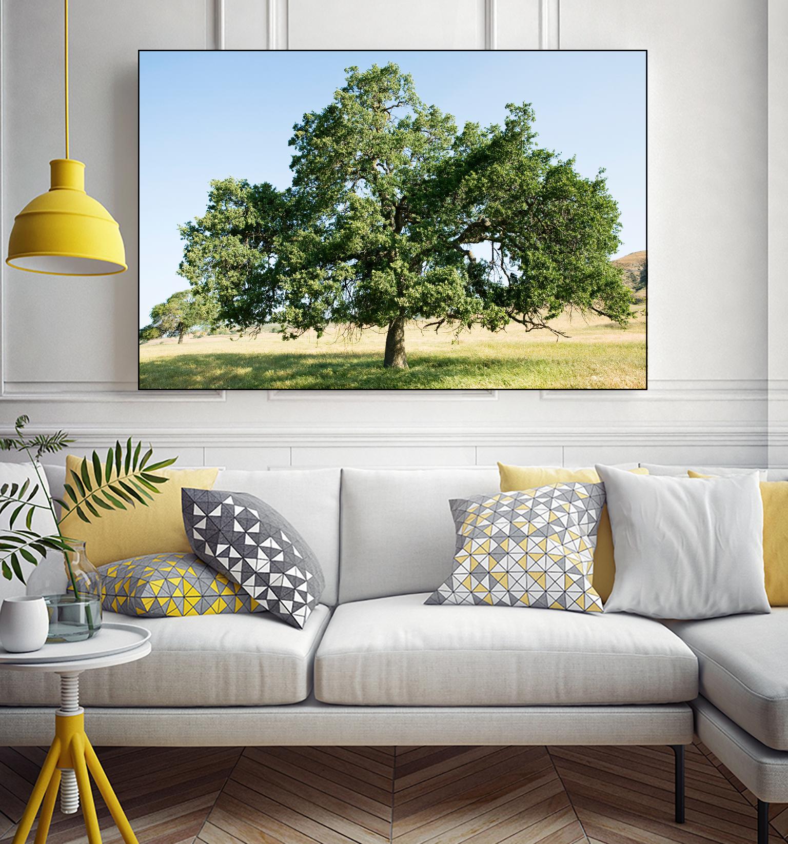 Strength by Acer Images on GIANT ART - blue trees