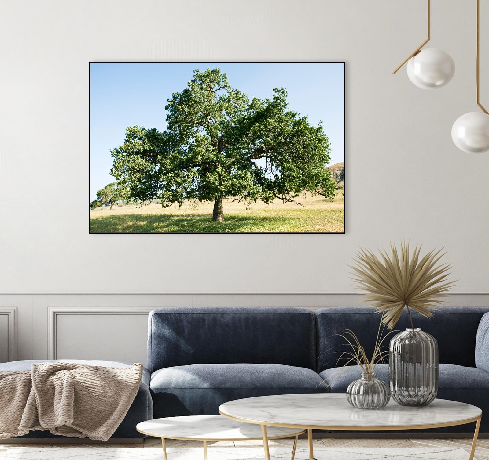 Strength by Acer Images on GIANT ART - blue trees