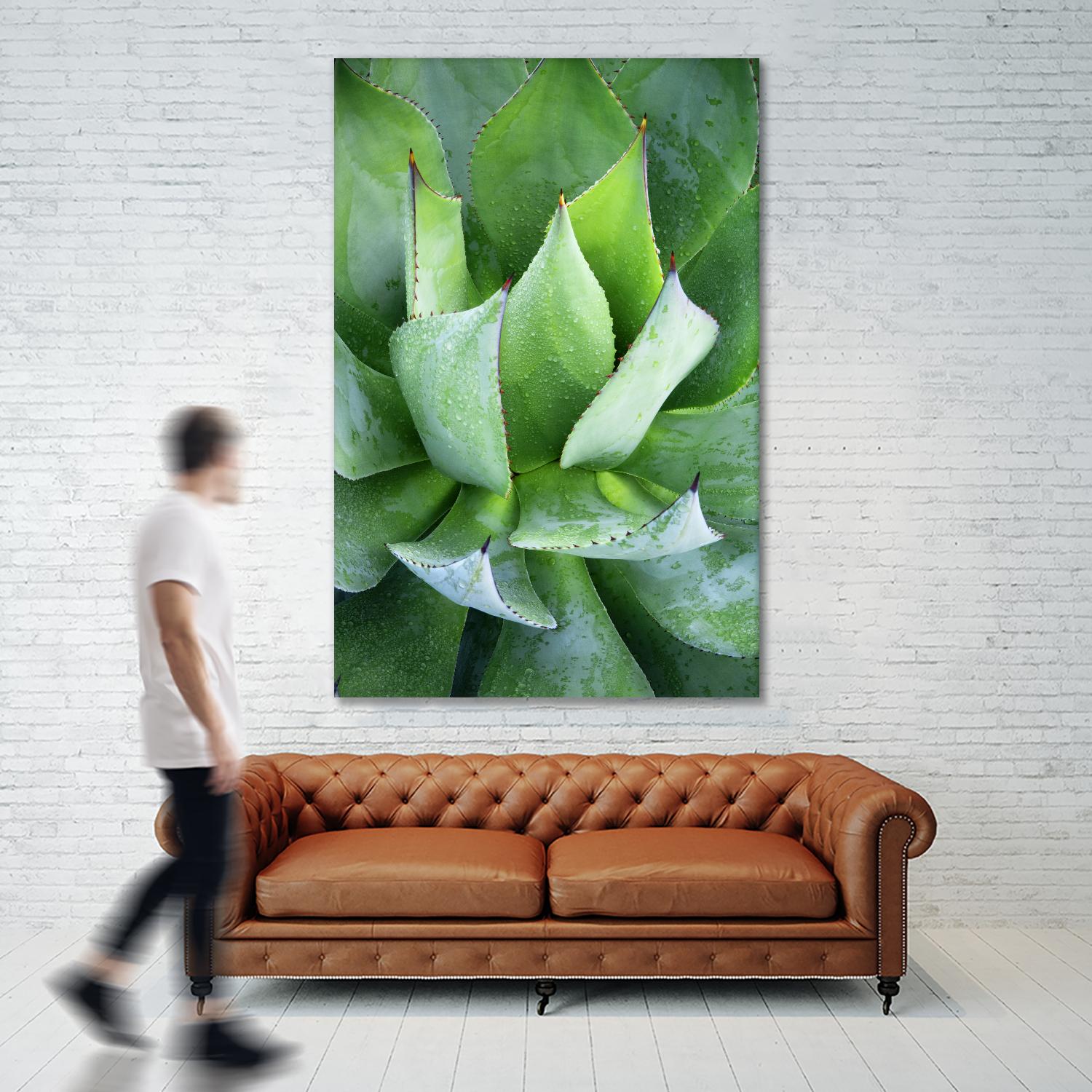 Yucca Study 1 by Acer Images on GIANT ART - green botany