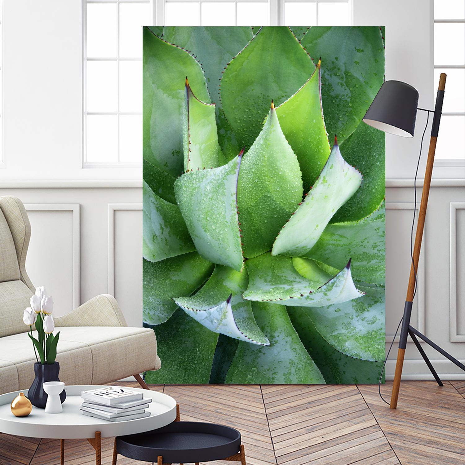 Yucca Study 1 by Acer Images on GIANT ART - green botany