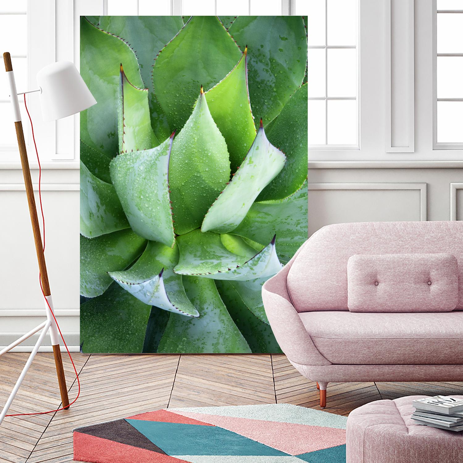 Yucca Study 1 by Acer Images on GIANT ART - green botany