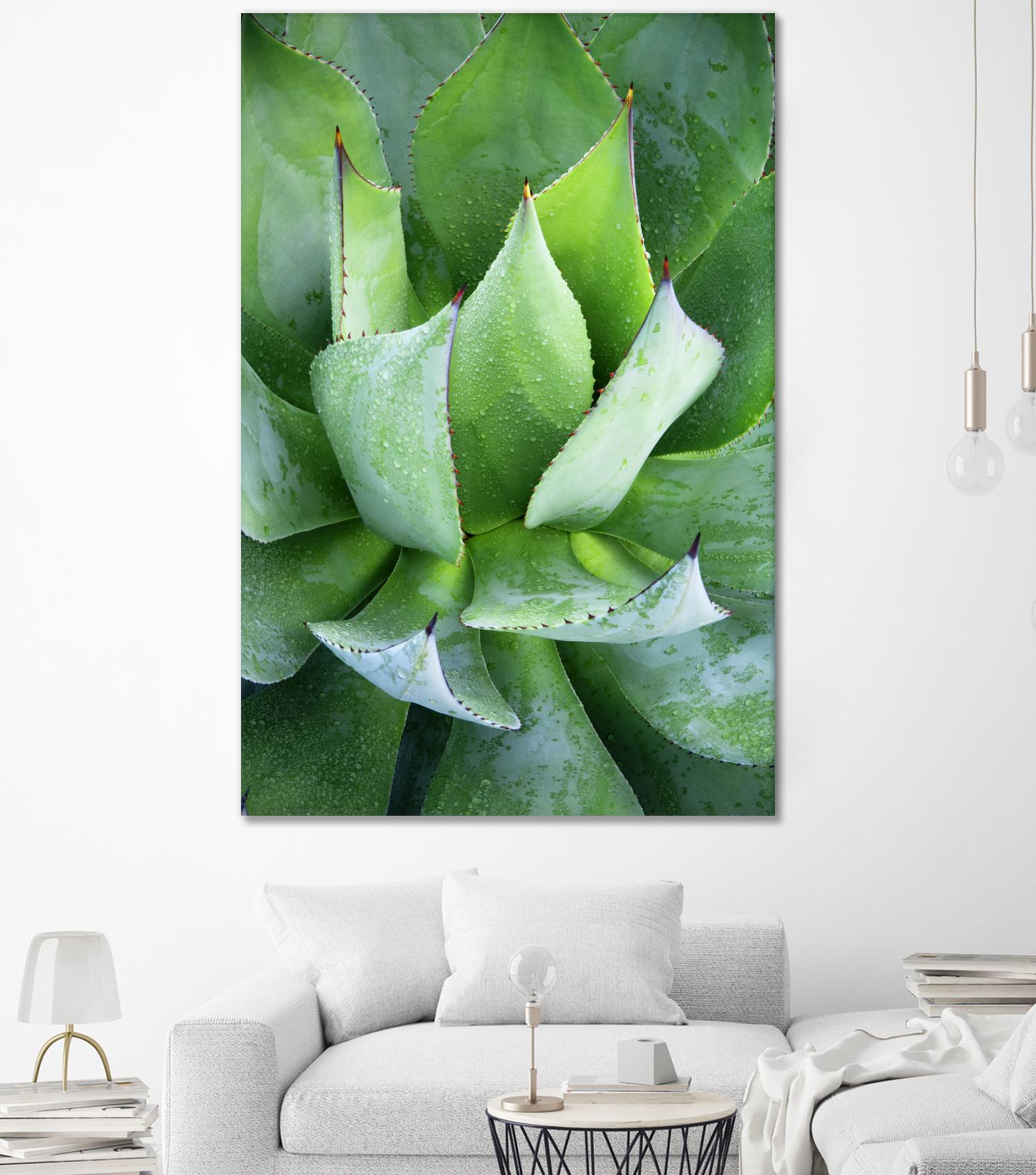 Yucca Study 1 by Acer Images on GIANT ART - green botany