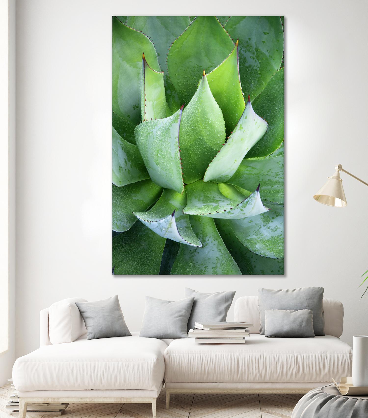 Yucca Study 1 by Acer Images on GIANT ART - green botany