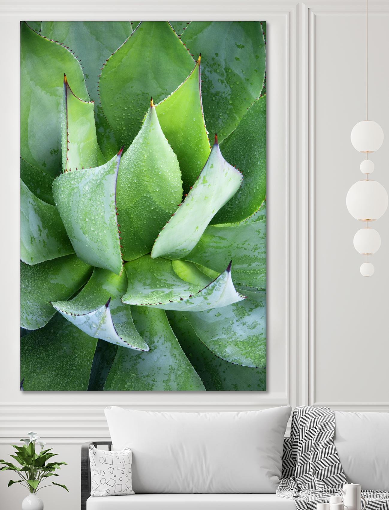 Yucca Study 1 by Acer Images on GIANT ART - green botany