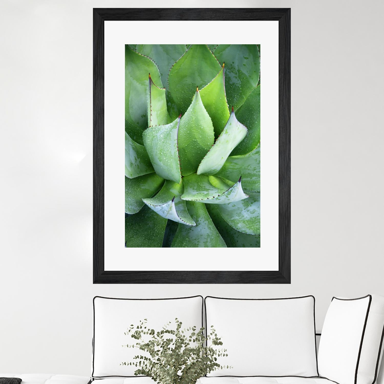 Yucca Study 1 by Acer Images on GIANT ART - green botany