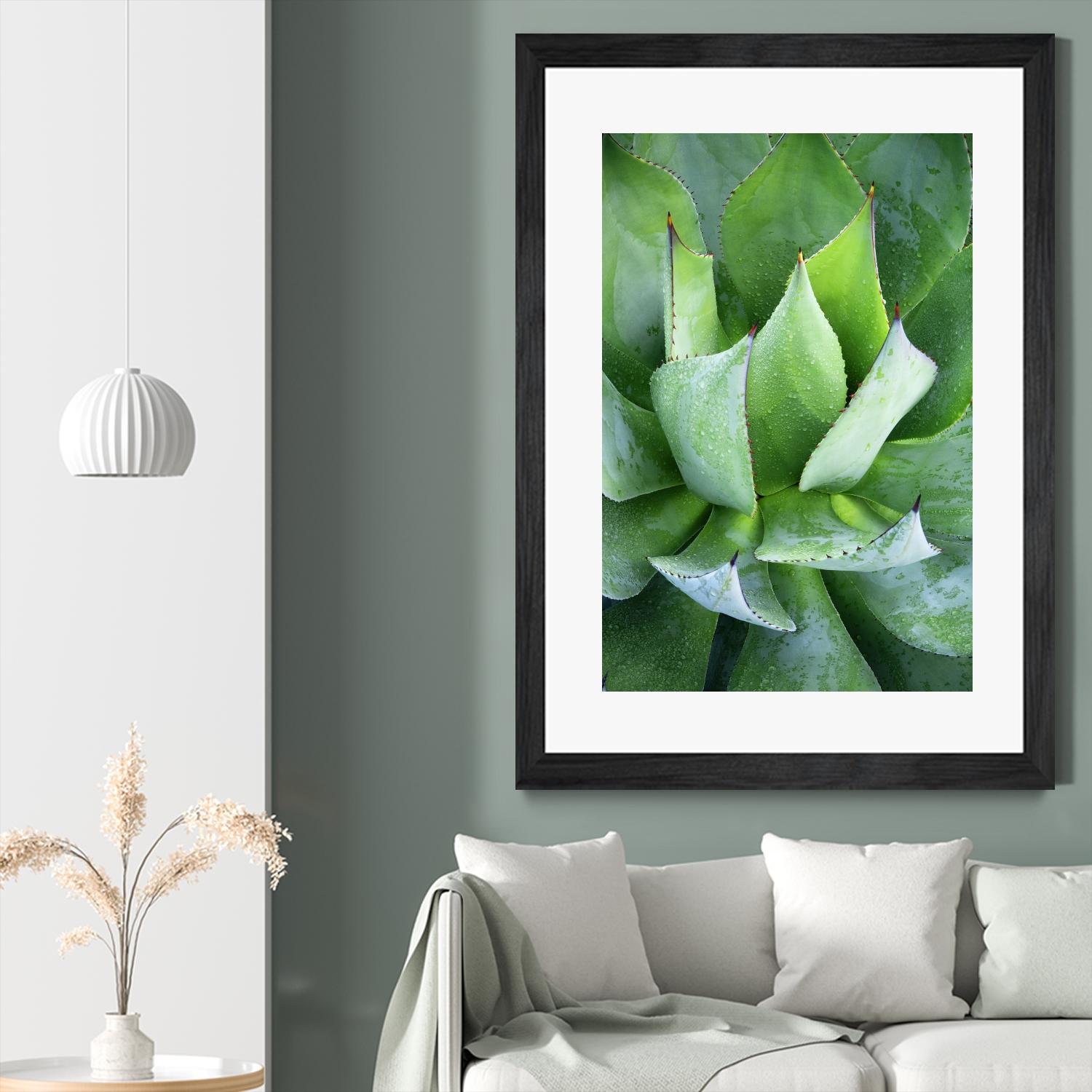 Yucca Study 1 by Acer Images on GIANT ART - green botany