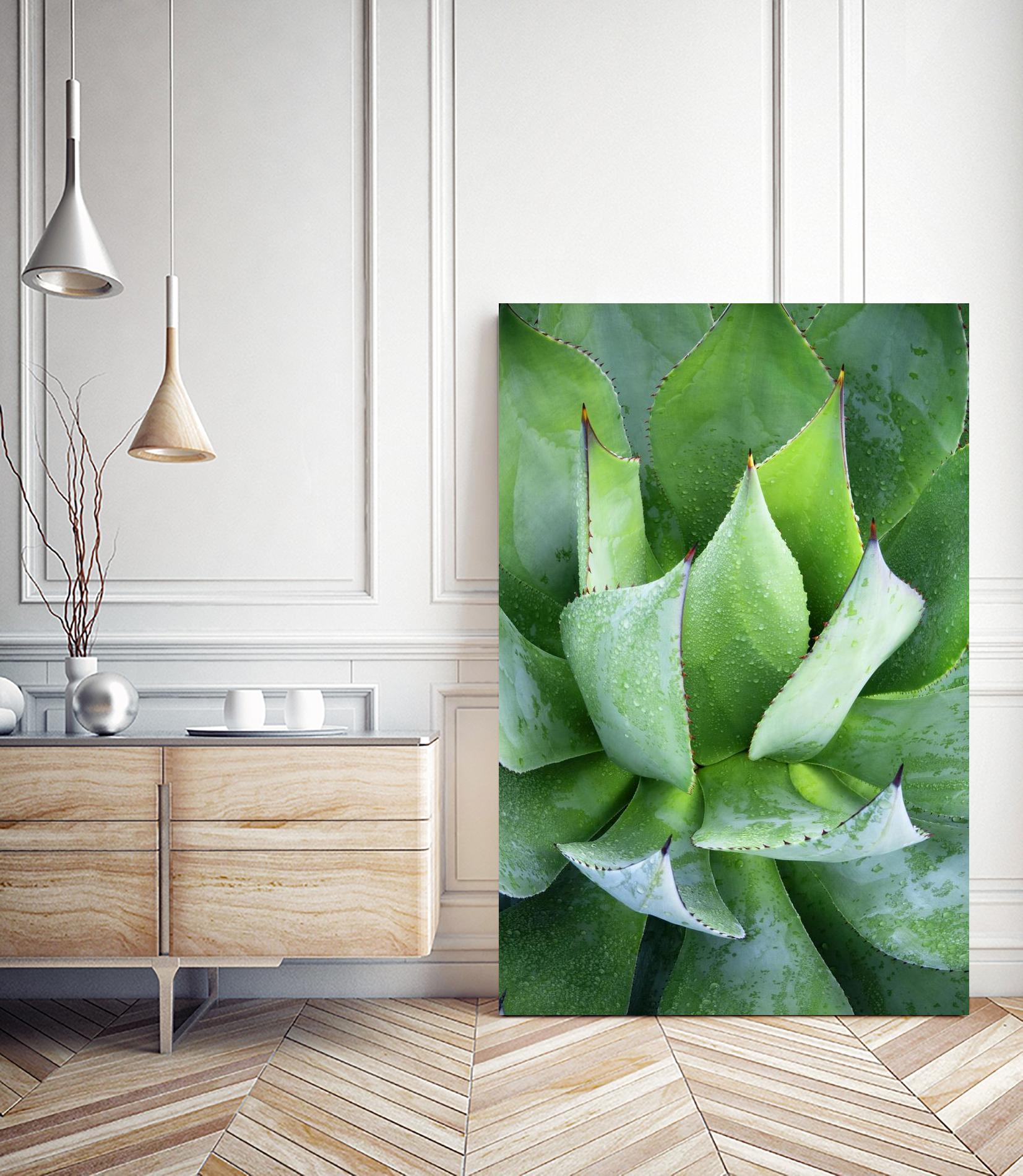 Yucca Study 1 by Acer Images on GIANT ART - green botany