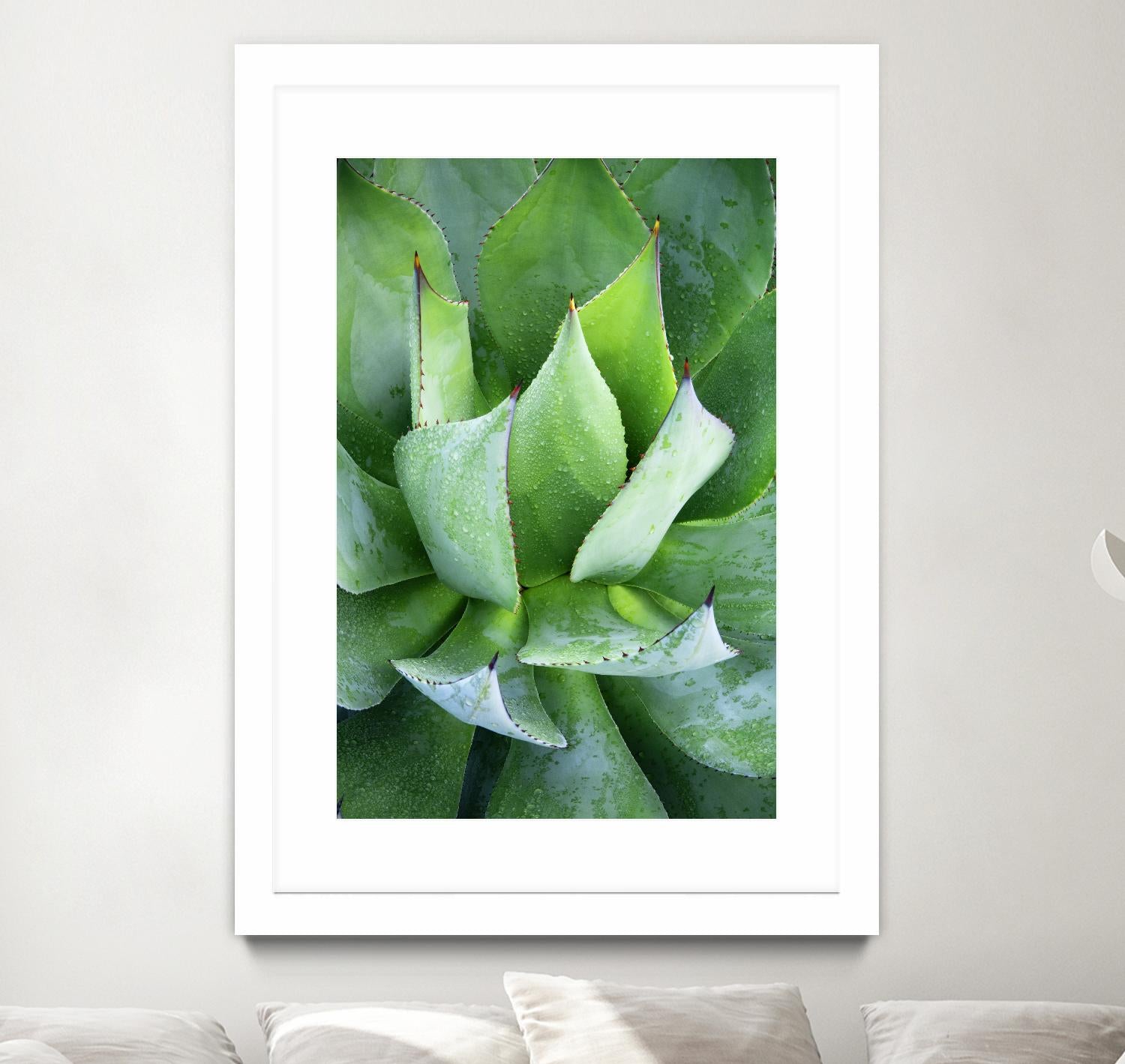 Yucca Study 1 by Acer Images on GIANT ART - green botany