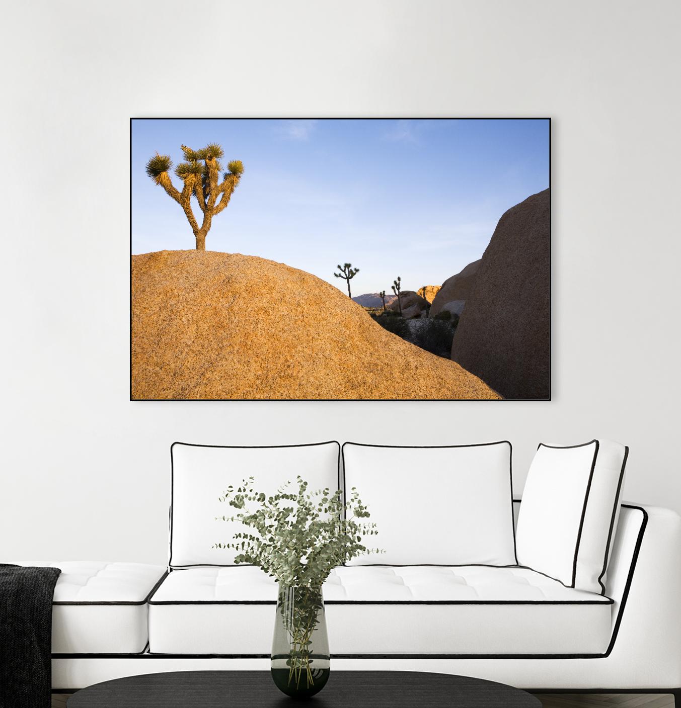 Joshua Tree Dream by Acer Images on GIANT ART - blue landscape