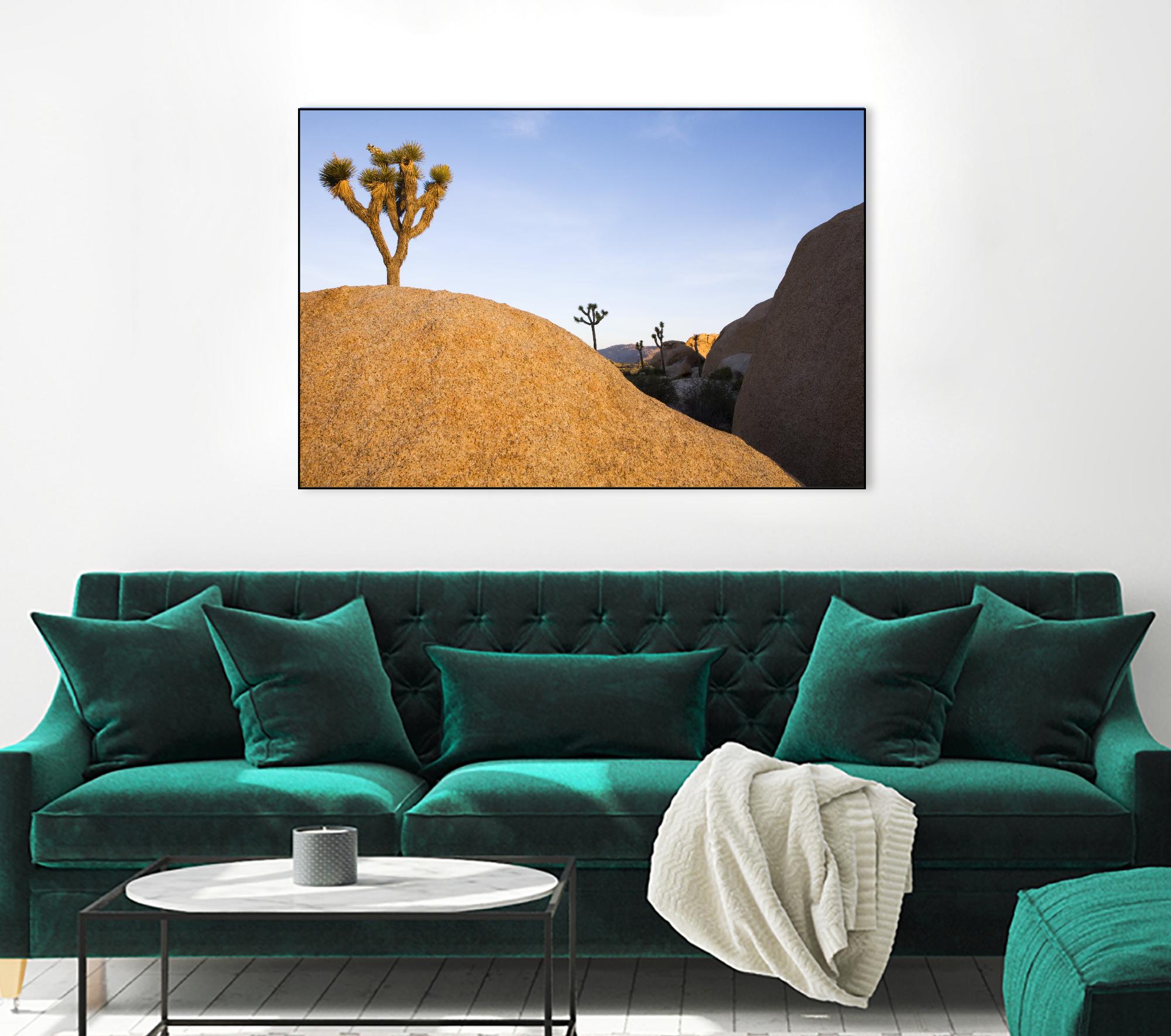 Joshua Tree Dream by Acer Images on GIANT ART - blue landscape