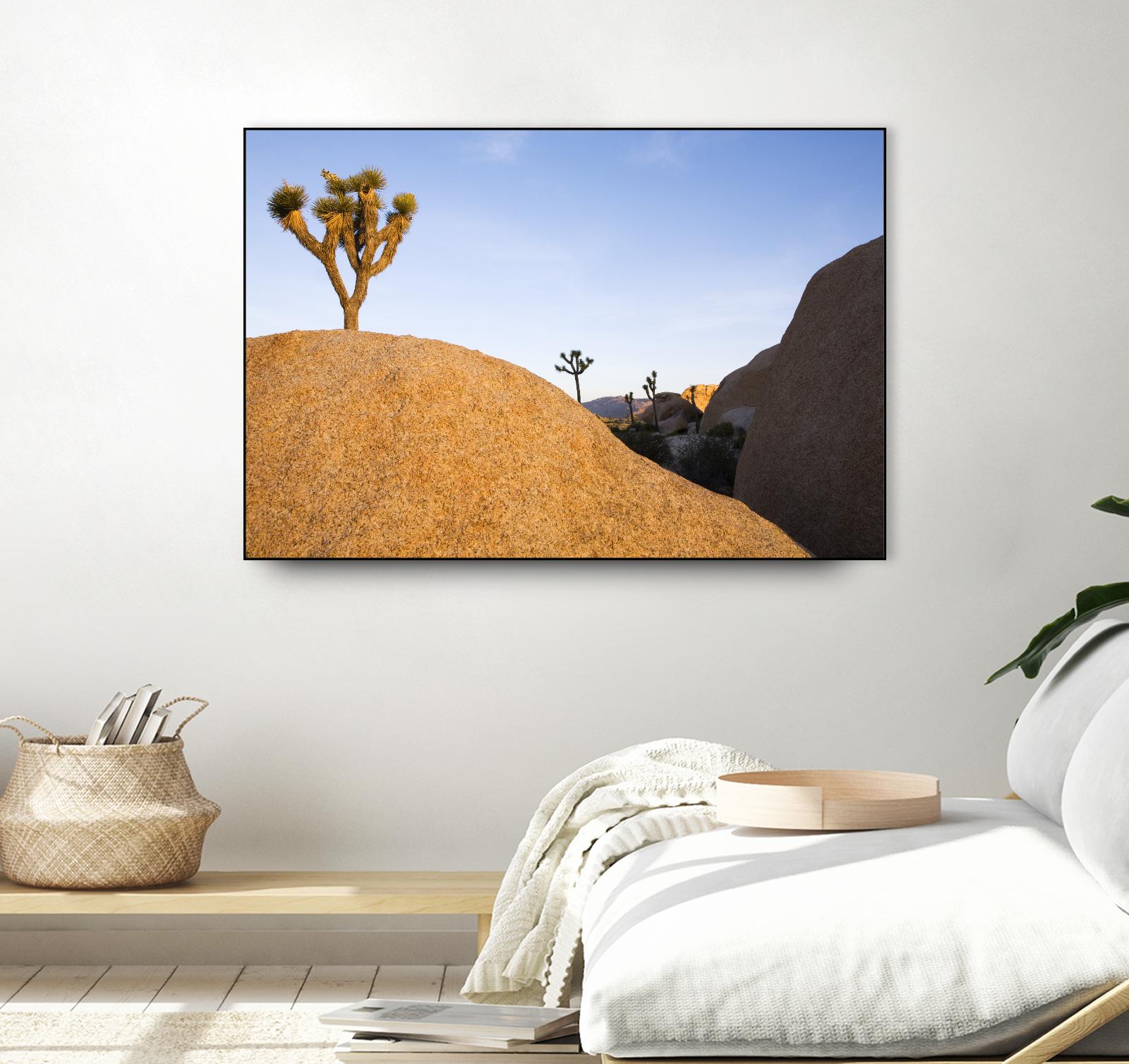 Joshua Tree Dream by Acer Images on GIANT ART - blue landscape