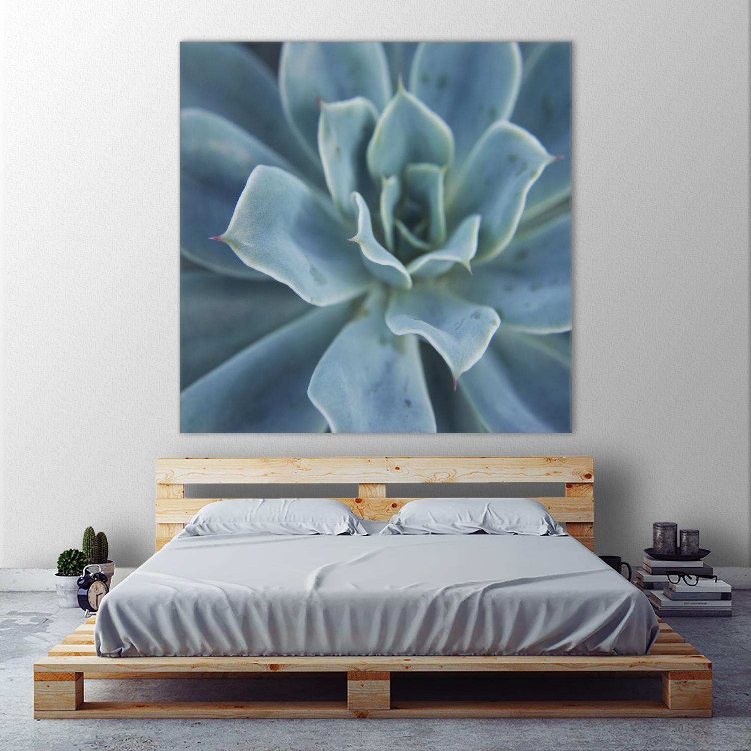 Sweet Succulent by Karen Ussery on GIANT ART - blue botany