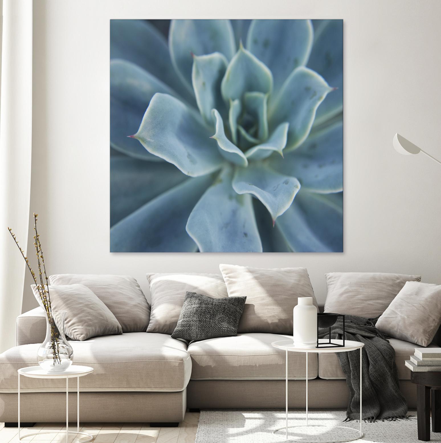 Sweet Succulent by Karen Ussery on GIANT ART - blue botany