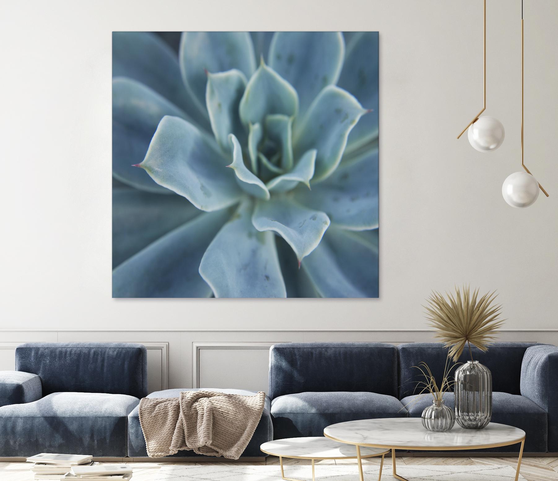 Sweet Succulent by Karen Ussery on GIANT ART - blue botany
