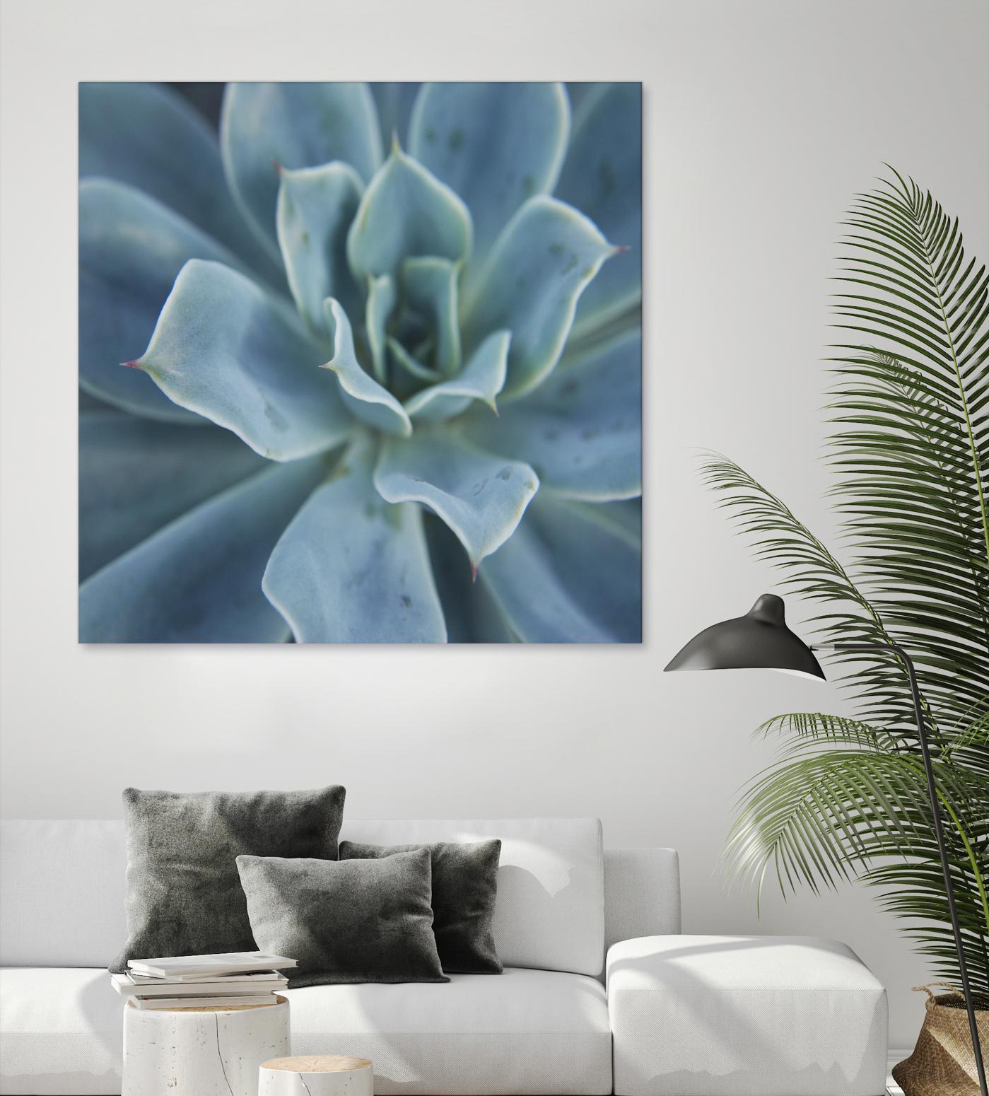 Sweet Succulent by Karen Ussery on GIANT ART - blue botany
