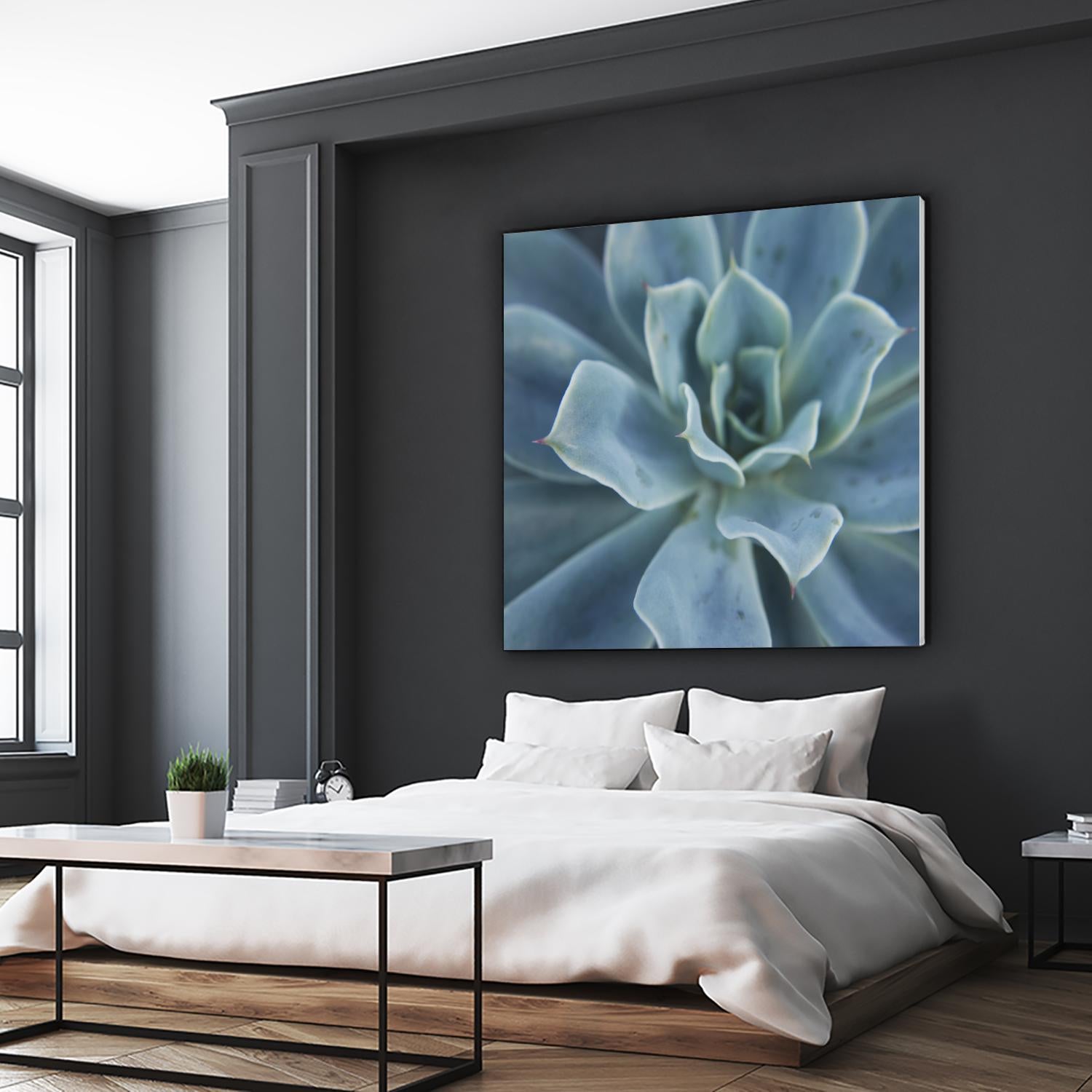 Sweet Succulent by Karen Ussery on GIANT ART - blue botany