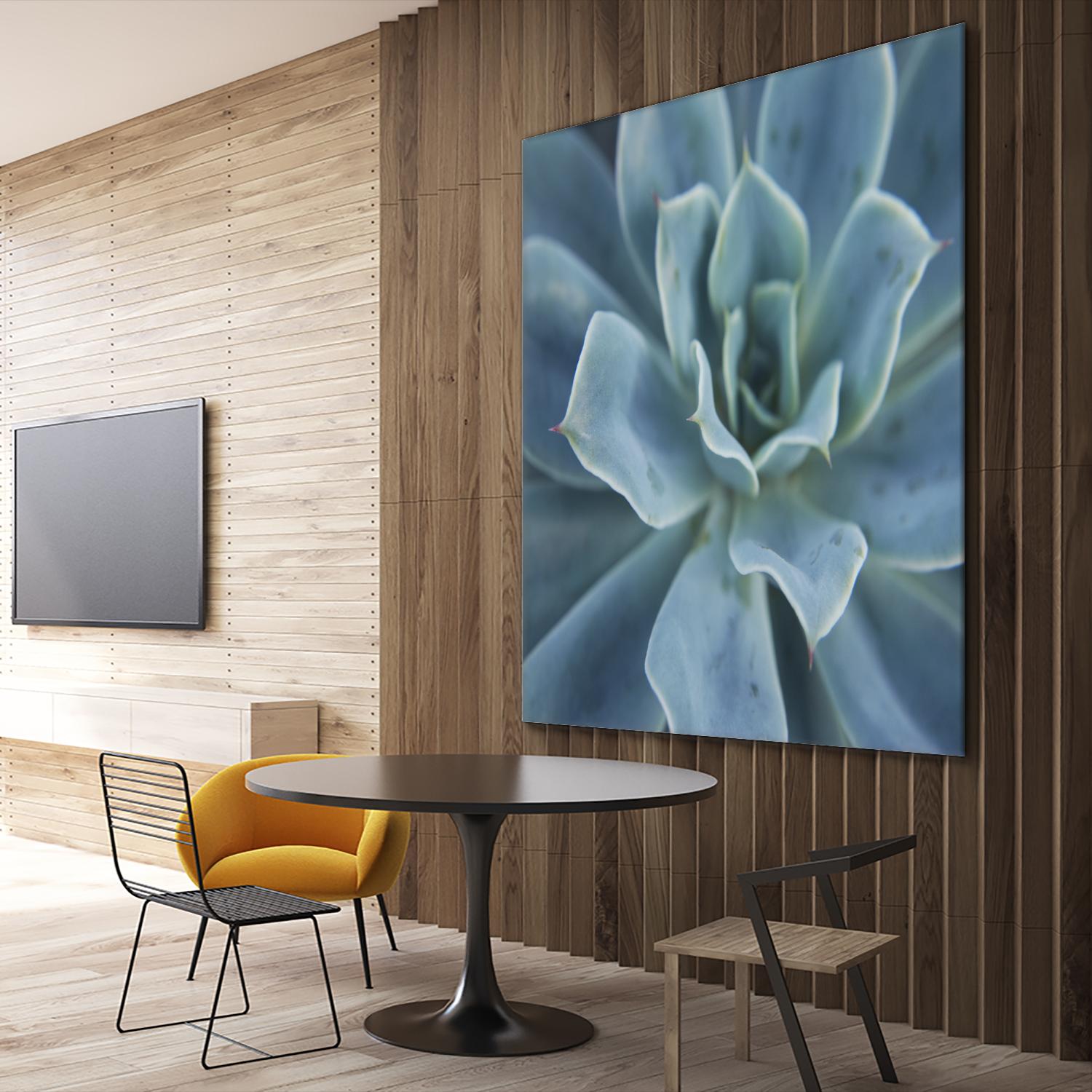 Sweet Succulent by Karen Ussery on GIANT ART - blue botany